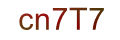 mã xác nhận
