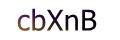 mã xác nhận