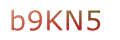 mã xác nhận